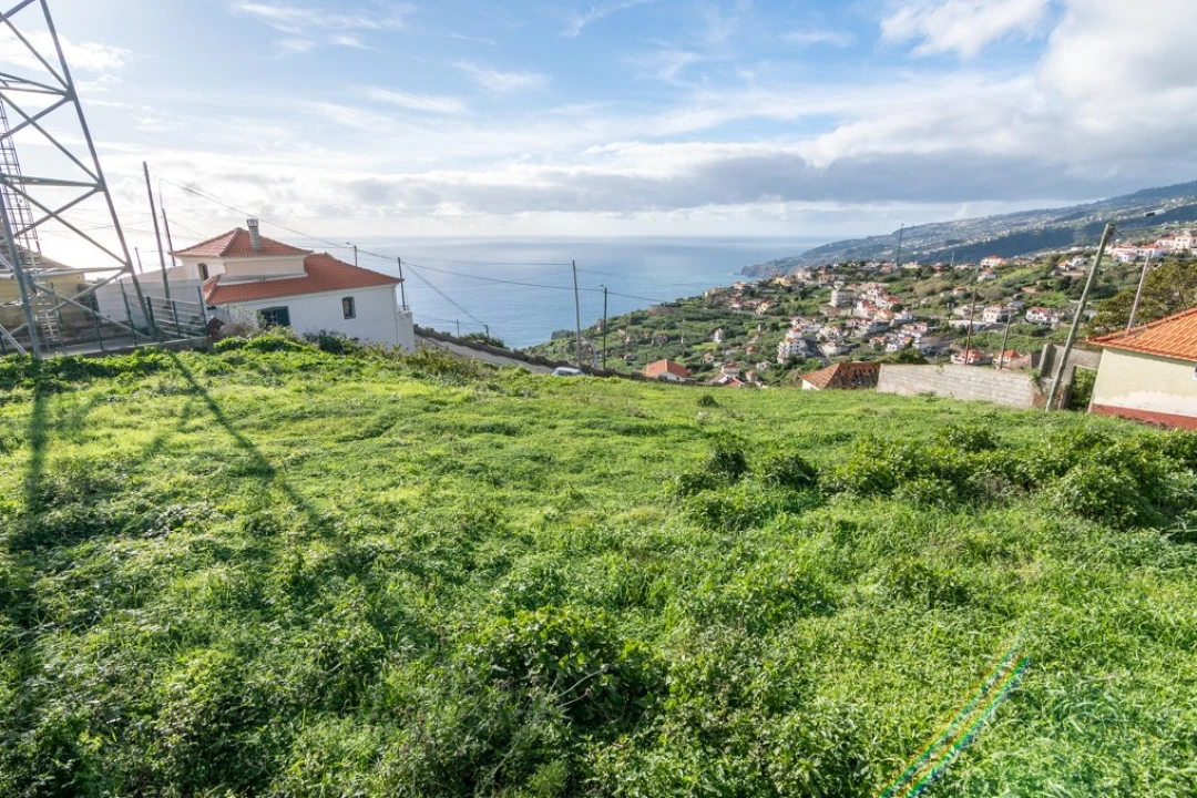 Terreno para Venda em Ribeira Brava Foto 12