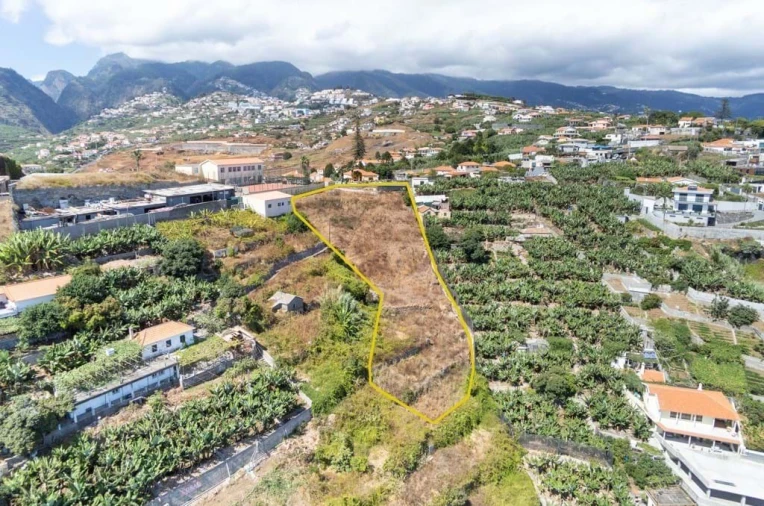 Terreno para Venda em São Martinho Foto 6