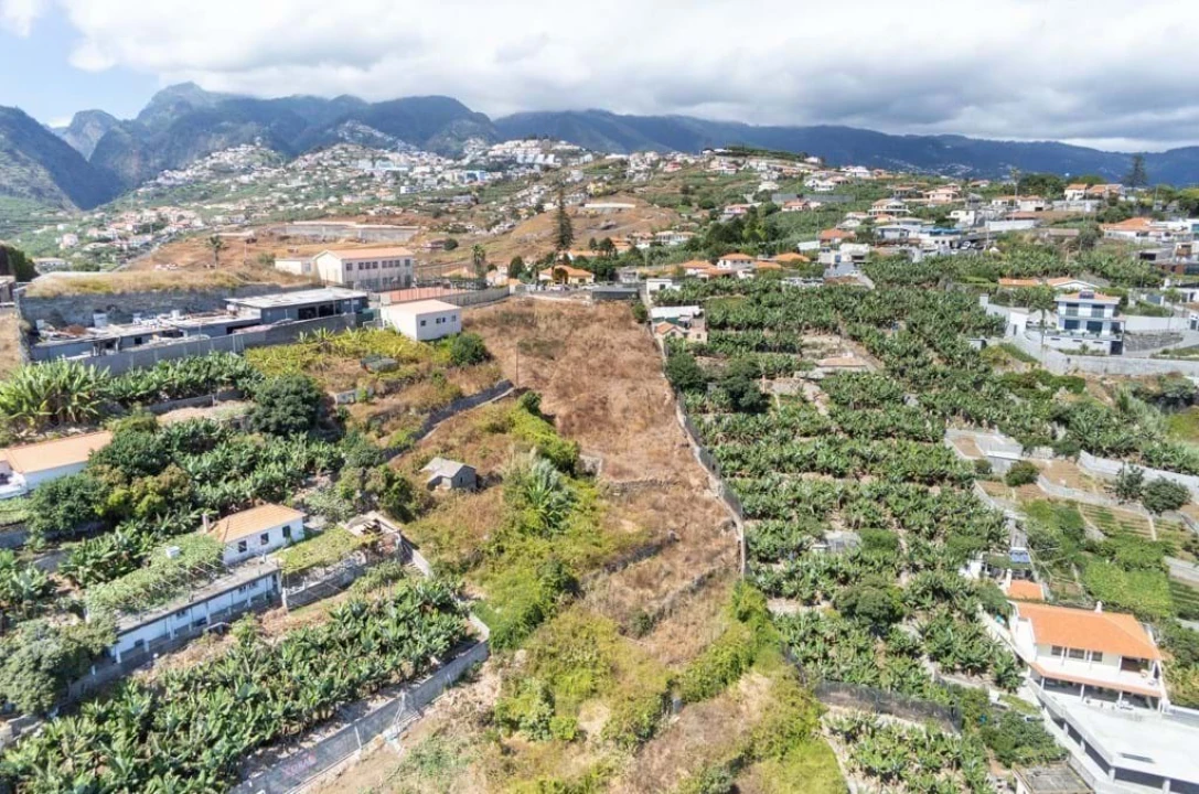 Terreno para Venda em São Martinho Foto 8