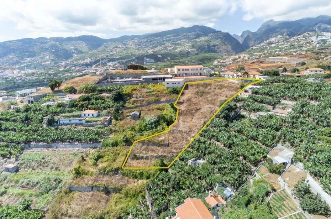 Terreno para Venda em São Martinho Foto 5