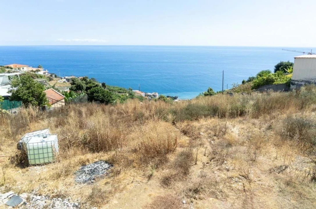 Terreno para Venda em São Martinho Foto 2