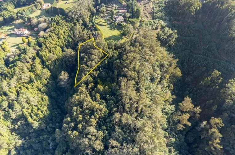 Terreno para Venda em Santo Antonio da Serra Foto 5