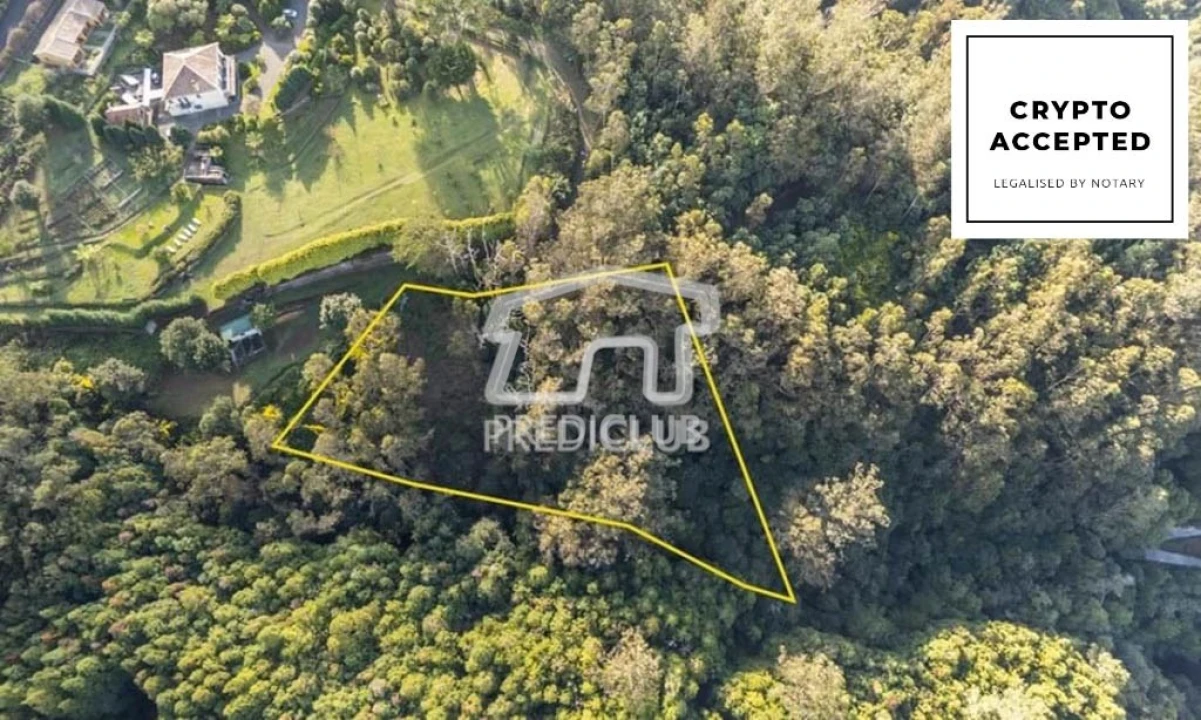 Terreno para Venda em Santo Antonio da Serra Foto 1