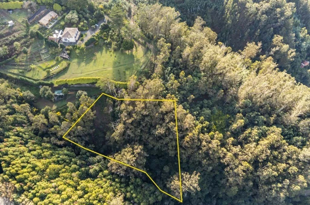 Terreno para Venda em Santo Antonio da Serra Foto 3