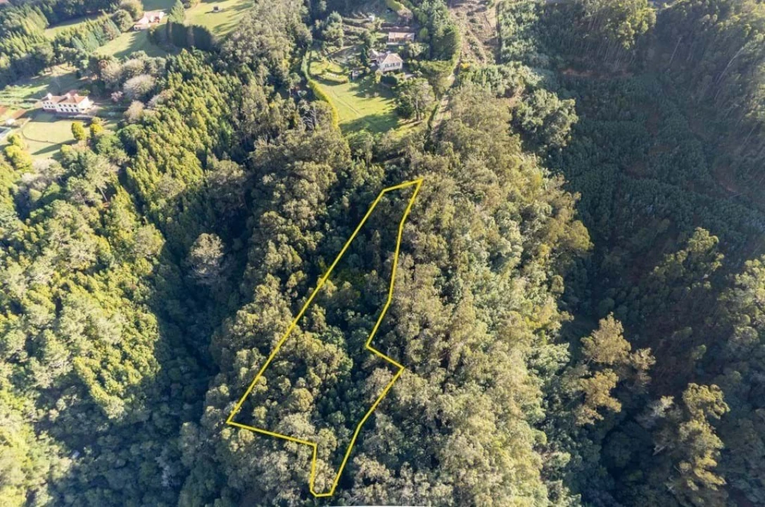 Terreno para Venda em Santo Antonio da Serra Foto 3