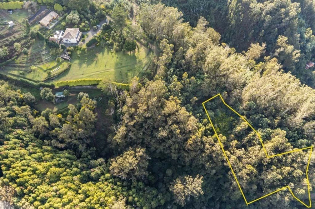 Terreno para Venda em Santo Antonio da Serra Foto 2