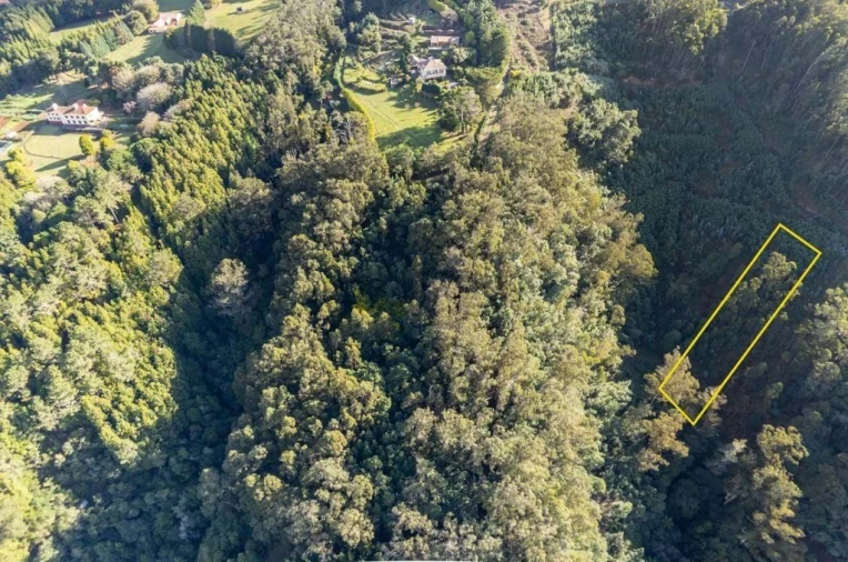 Terreno para Venda em Santo Antonio da Serra Foto 2
