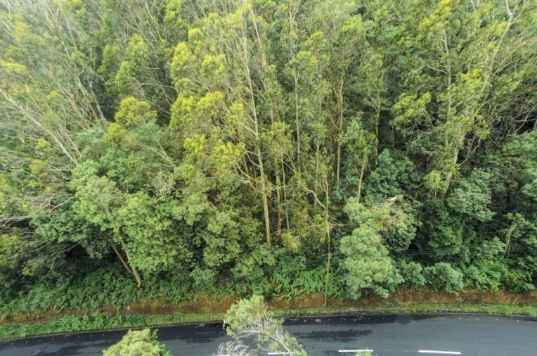 Terreno para Venda em Camacha Foto 5