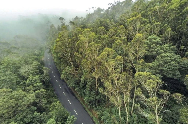 Terreno para Venda em Camacha Foto 3
