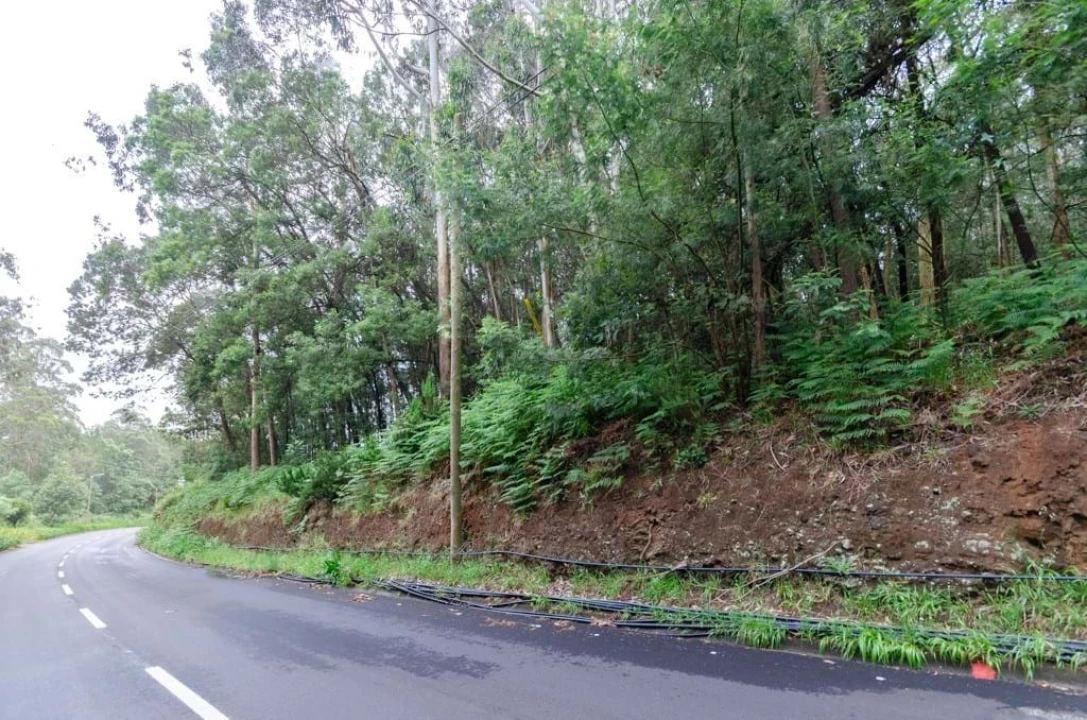 Terreno para Venda em Camacha Foto 2