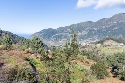 Terreno para Venda em São Vicente