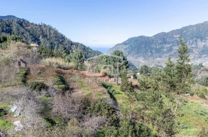 Terreno para Venda em São Vicente