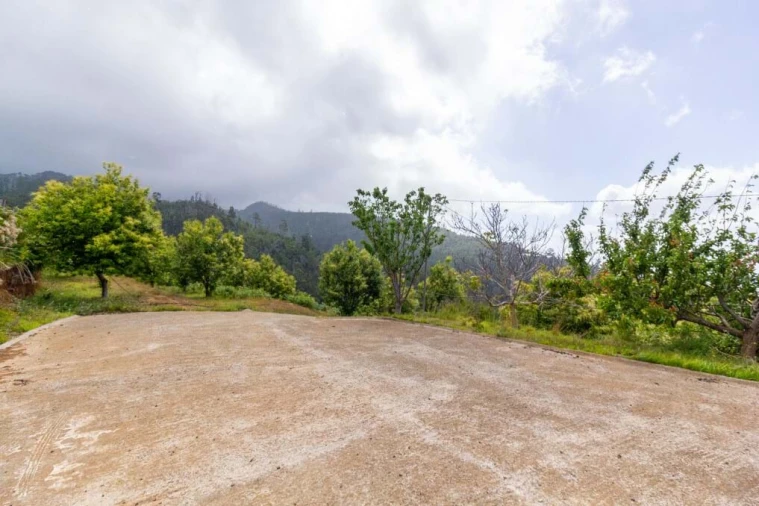 Terreno para Venda em Prazeres Foto 4