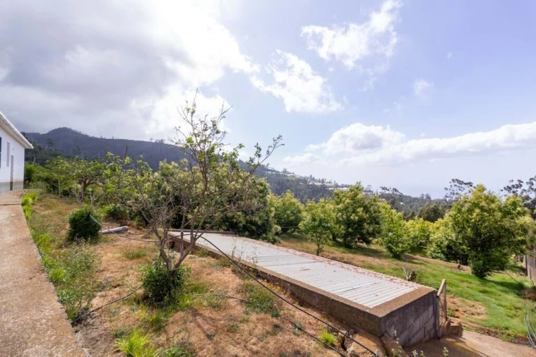 Terreno para Venda em Prazeres Foto 5