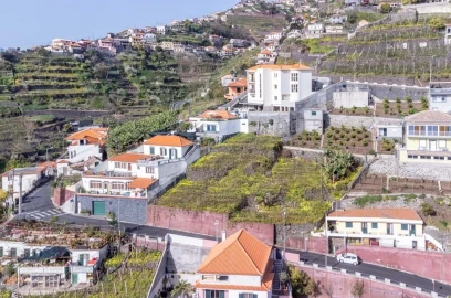 Terreno para Venda em Camara de Lobos