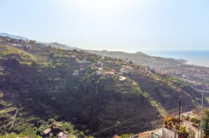 Terreno para Venda em Camara de Lobos
