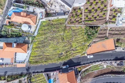 Terreno para Venda em Camara de Lobos