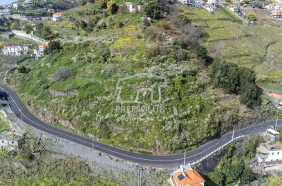 Terreno para Venda em Camara de Lobos