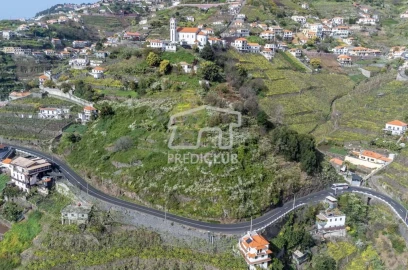 Terreno para Venda em Camara de Lobos
