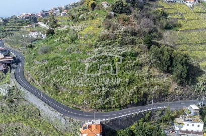 Terreno para Venda em Camara de Lobos