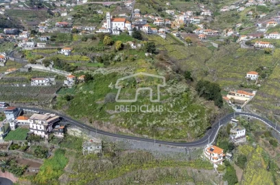 Terreno para Venda em Camara de Lobos