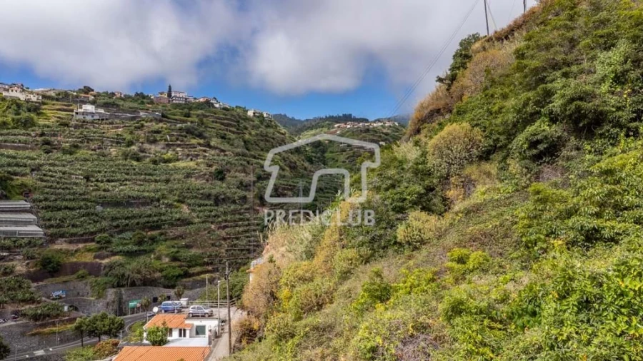 Terreno para Venda em Calheta Foto 19