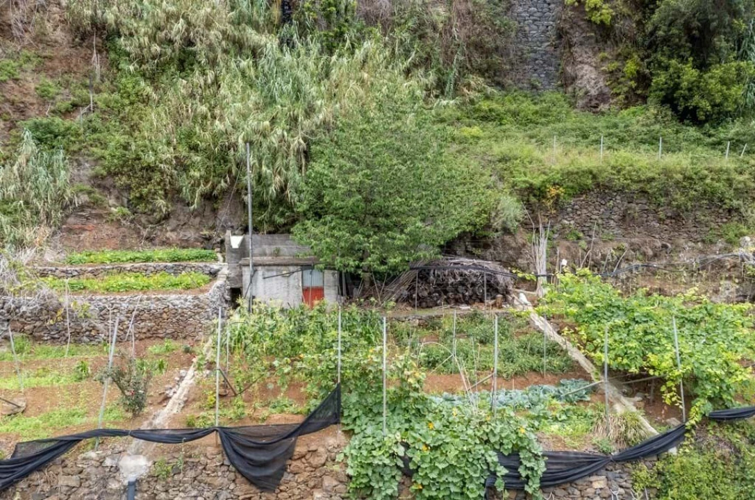 Terreno para Venda em Santo Antonio Foto 13