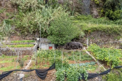 Terreno para Venda em Santo Antonio