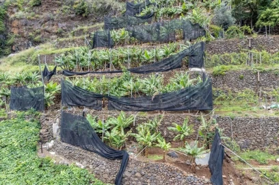 Terreno para Venda em Santo Antonio