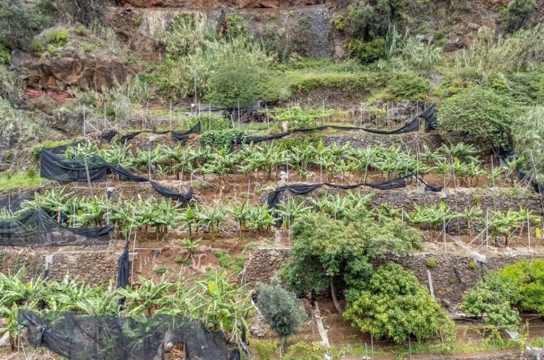 Terreno para Venda em Santo Antonio Foto 12