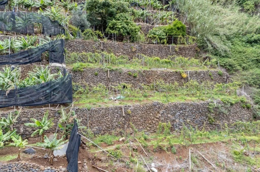 Terreno para Venda em Santo Antonio Foto 11