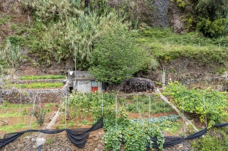 Terreno para Venda em Santo Antonio Foto 13