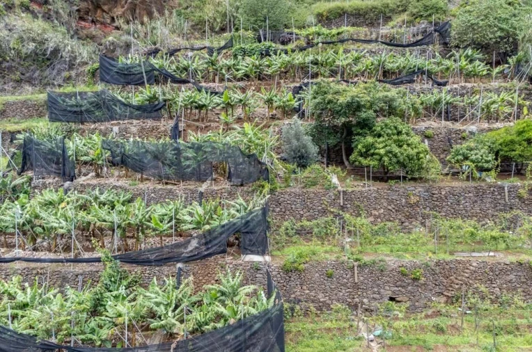 Terreno para Venda em Santo Antonio Foto 10