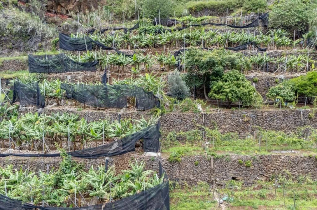 Terreno para Venda em Santo Antonio Foto 10