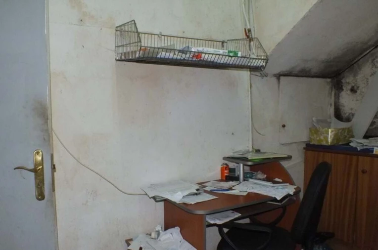 Negócio para Trespasse em Monte Foto 13