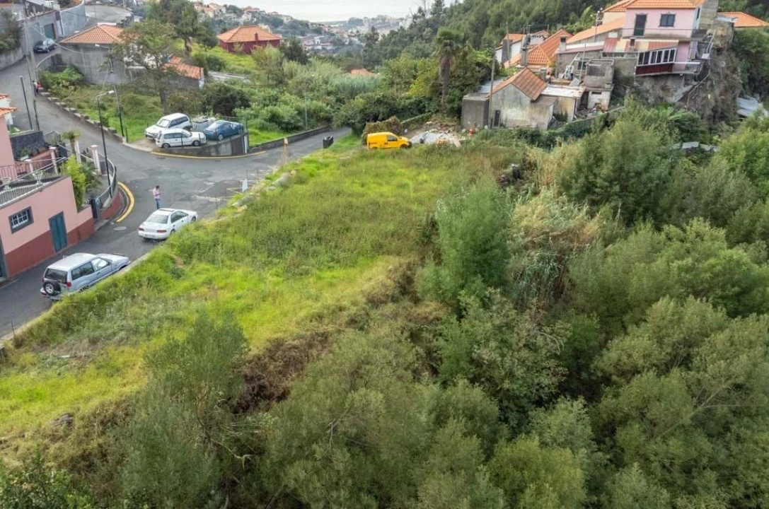 Terreno para Venda em Monte Foto 2