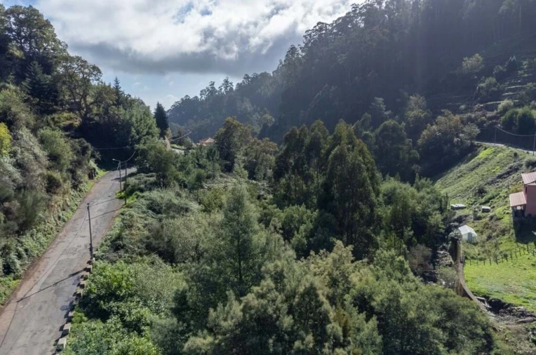 Terreno para Venda em Camacha Foto 6