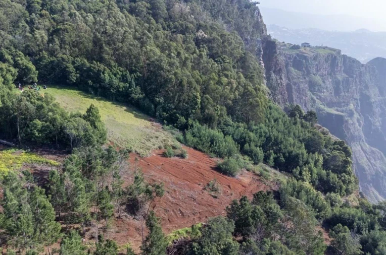 Terreno para Venda em Quinta Grande Foto 9