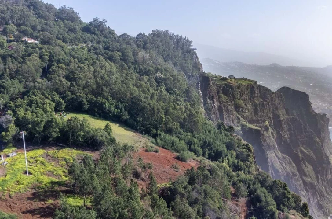 Terreno para Venda em Quinta Grande Foto 5