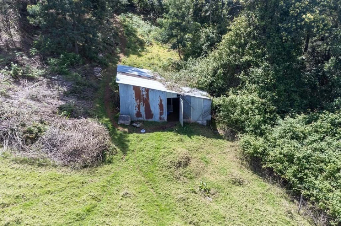 Terreno para Venda em Santana Foto 3
