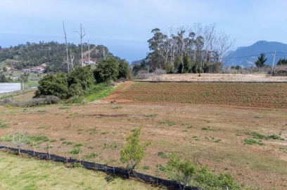 Terreno para Venda em Santana