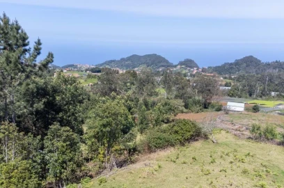 Terreno para Venda em Santana