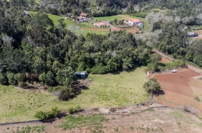 Terreno para Venda em Santana