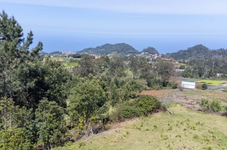 Terreno para Venda em Santana Foto 14