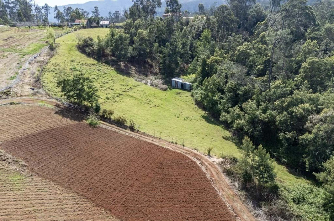 Terreno para Venda em Santana Foto 11