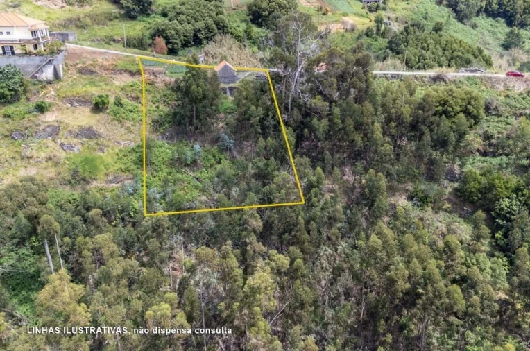 Terreno para Venda em Calheta Foto 3