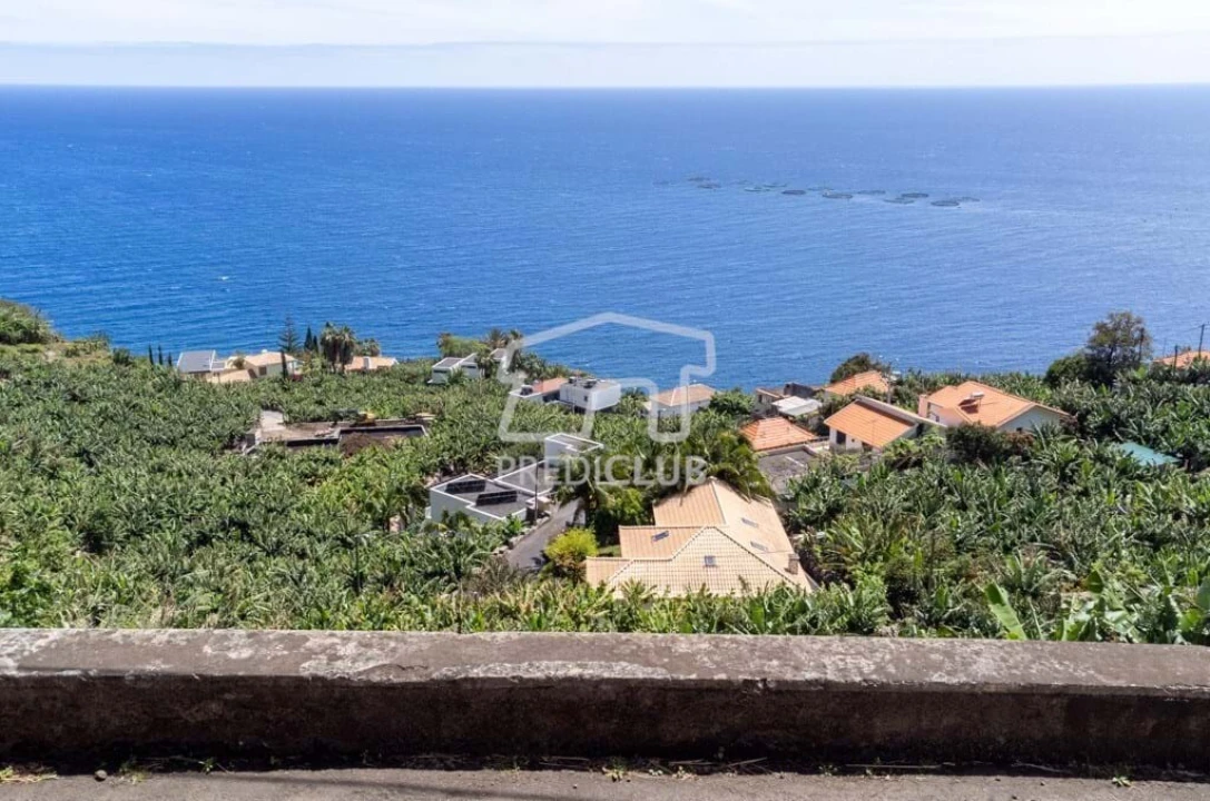 Terreno para Venda em Arco da Calheta Foto 8
