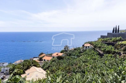 Terreno para Venda em Arco da Calheta