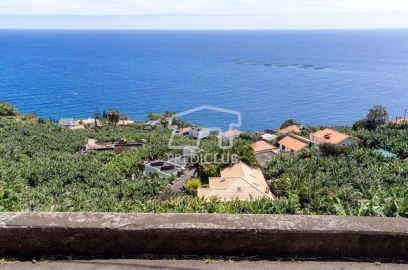 Terreno para Venda em Arco da Calheta