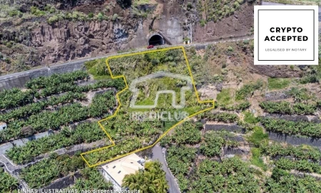 Terreno para Venda em Arco da Calheta